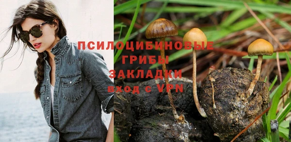 прущий лед Сафоново