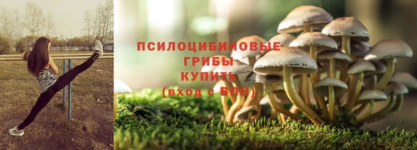 спиды Саяногорск