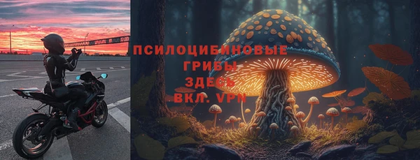 спиды Саяногорск