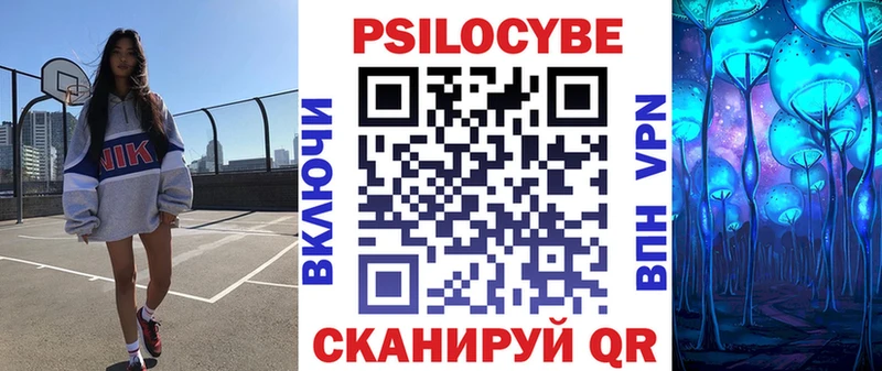 Купить закладки  Среднеуральск  Галлюциногенные грибы Psilocybine cubensis 